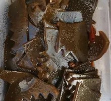 Sour and Spicy Sea Cucumber