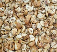 Special Chicken Intestines