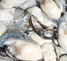 Fresh Oyster and Locust Dish