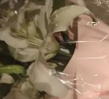 Grilled Korean Sausage