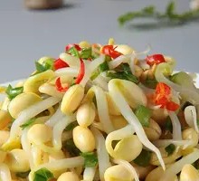 Spicy Bean Sprouts