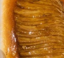 Stir-Fried Lamb Strips