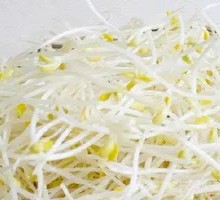 Bean sprouts