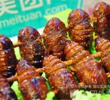 Silkworm pupae