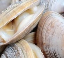 Clam