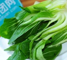 Chinese cabbage