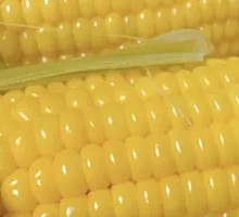 Corn