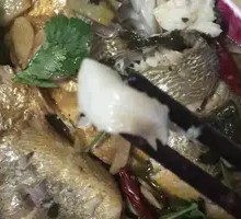 Braised Catfish in Sauce