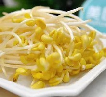 Mung Bean Sprouts