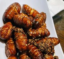 Silkworm pupae