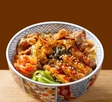 Teriyaki Chicken and Beef Bowl