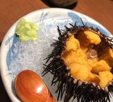 Live Sea Urchin