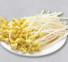 Mung Bean Sprouts
