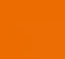 Fresh Fish and Tofu Flower