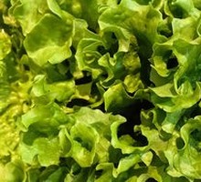 Lettuce and Perilla Leaf Platter