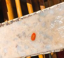 Cheese Black Pepper Shrimp Balls