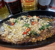 Special Iron Plate Carp