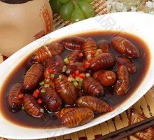 Spicy Braised Silkworm Pupae