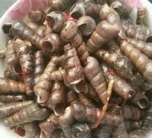 Stir-fried Snail Cubes