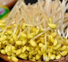 Bean sprouts