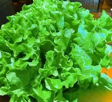 Lettuce