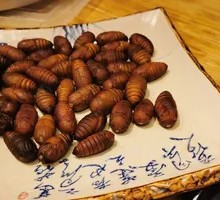 Silkworm pupae