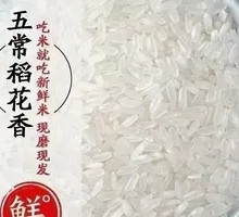 Rice Pot with Fragrant Rice