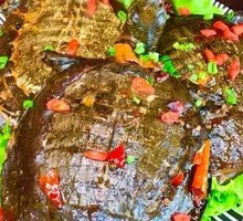 Spicy Softshell Turtle