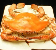 Spider Crab