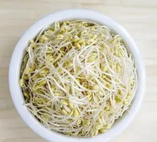 Bean sprouts