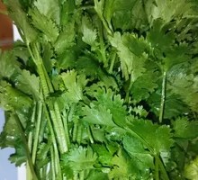 Cilantro