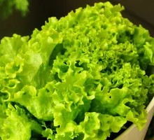 Lettuce