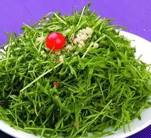 Mixed bitter lettuce salad