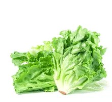 Lettuce