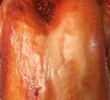 Crispy Roast Chicken with Three Brothers