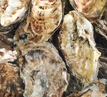 Dalian Oyster