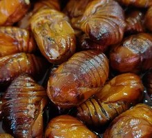 Jasmine-Scented Private Recipe Silkworm Pupae