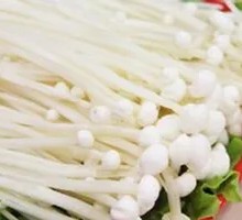 Golden Needle Mushroom