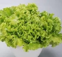 Preserved Vegetable Noodles with Peanut