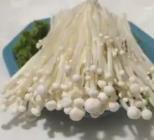 Enoki Mushroom