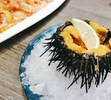 Sea Urchin
