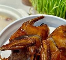 Young Citrus-Infused Pigeon