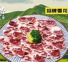 Snowflake Swan Wings