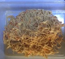 Mixed Dried Tofu Noodles