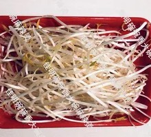 Bean sprouts