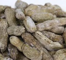 Peanut and Edamame Platter