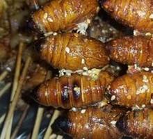 Silkworm pupae