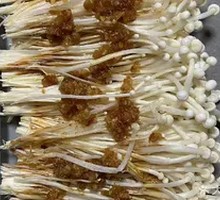 Enoki Mushroom