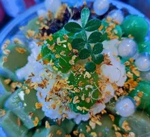 Green Grape Wine Fermented Ice Dumplings