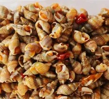 Sea Snail Dish